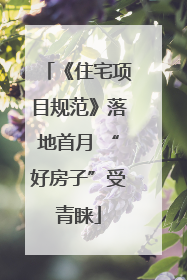 《住宅项目规范》落地首月 “好房子”受青睐