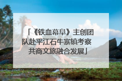 《铁血幕阜》主创团队赴平江石牛寨镇考察 共商文旅融合发展