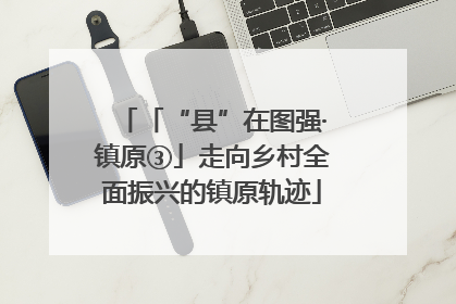 「“县”在图强·镇原③」走向乡村全面振兴的镇原轨迹