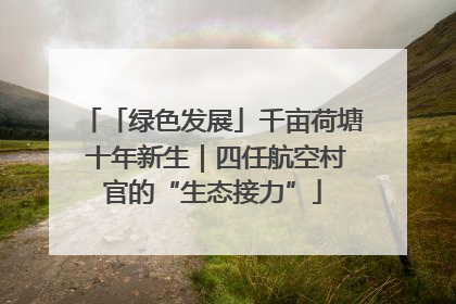 「绿色发展」千亩荷塘 十年新生｜四任航空村官的“生态接力”