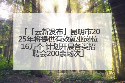 「云新发布」昆明市2025年将提供有效就业岗位16万个 计划开展各类招聘会200余场次