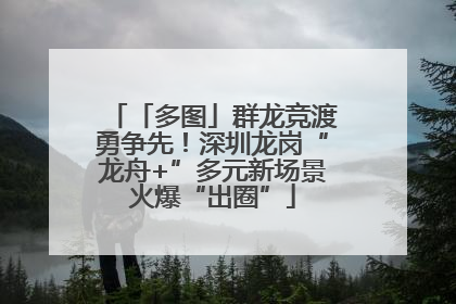 「多图」群龙竞渡勇争先！深圳龙岗“龙舟+”多元新场景火爆“出圈”