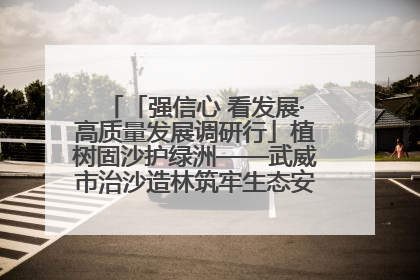 「强信心 看发展·高质量发展调研行」植树固沙护绿洲——武威市治沙造林筑牢生态安全屏障见闻