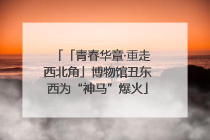 「青春华章·重走西北角」博物馆丑东西为“神马”爆火