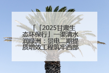 「2025甘肃生态环保行」一渠清水润绿洲：景电二期提质增效工程筑牢西部生态安全屏障