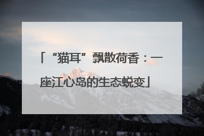 “猫耳”飘散荷香：一座江心岛的生态蜕变