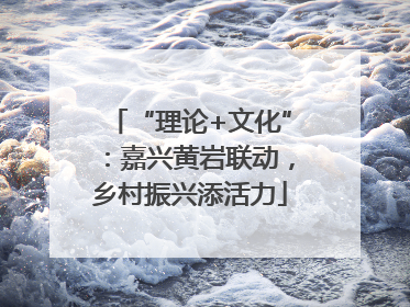“理论+文化”：嘉兴黄岩联动，乡村振兴添活力