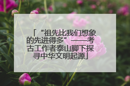 “祖先比我们想象的先进得多”——考古工作者泰山脚下探寻中华文明起源