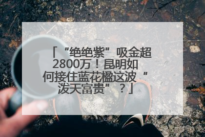 “绝绝紫”吸金超2800万！昆明如何接住蓝花楹这波“泼天富贵”？