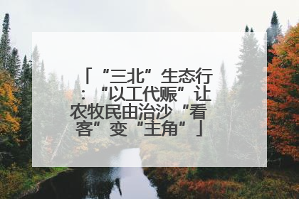 “三北”生态行：“以工代赈”让农牧民由治沙“看客”变“主角”