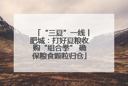 “三夏”一线丨肥城：打好夏粮收购“组合拳” 确保粮食颗粒归仓