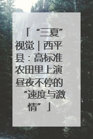 “三夏”视觉｜西平县：高标准农田里上演昼夜不停的“速度与激情”