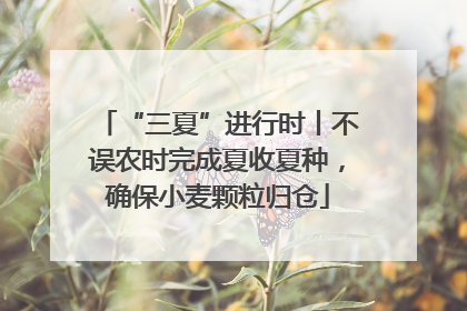 “三夏”进行时丨不误农时完成夏收夏种，确保小麦颗粒归仓