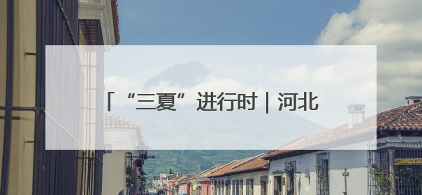 “三夏”进行时｜河北麦收一线见闻（一）：小麦机收减损“竞技” 农机高手麦田“过招”