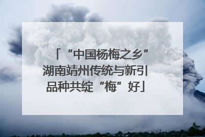 “中国杨梅之乡”湖南靖州传统与新引品种共绽“梅”好