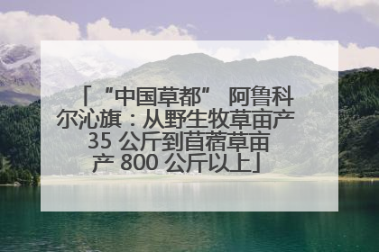 “中国草都” 阿鲁科尔沁旗：从野生牧草亩产 35 公斤到苜蓿草亩产 800 公斤以上