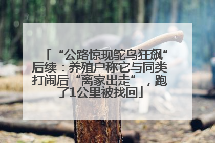 “公路惊现鸵鸟狂飙”后续：养殖户称它与同类打闹后“离家出走”，跑了1公里被找回