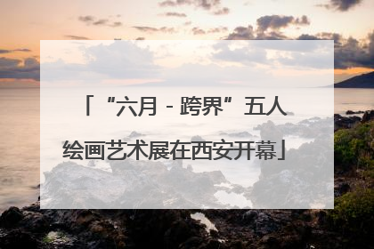 “六月 - 跨界”五人绘画艺术展在西安开幕