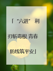 “六进” 利刃斩毒根 青春防线筑平安
