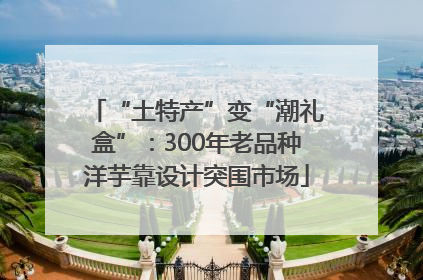 “土特产”变“潮礼盒”：300年老品种洋芋靠设计突围市场