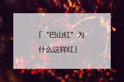“巴山红”为什么这样红