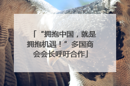 “拥抱中国，就是拥抱机遇！”多国商会会长呼吁合作