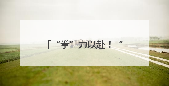 “拳”力以赴！“闹海·拳击狂欢季”在烟台莱山启幕