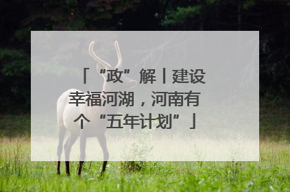“政”解丨建设幸福河湖，河南有个“五年计划”