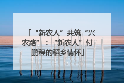 “新农人”共筑“兴农路”：“新农人”付鹏程的稻乡情怀
