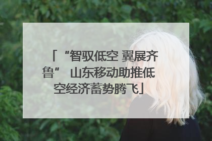 “智驭低空 翼展齐鲁” 山东移动助推低空经济蓄势腾飞