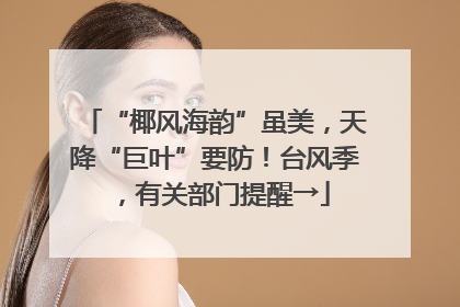 “椰风海韵”虽美，天降“巨叶”要防！台风季，有关部门提醒→