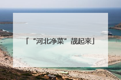 “河北净菜”靓起来
