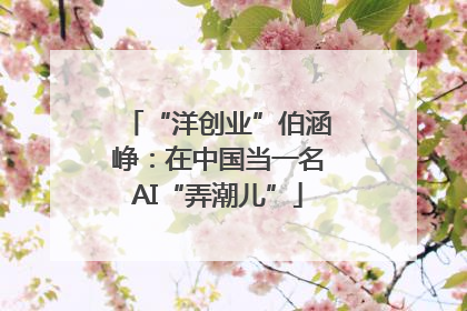 “洋创业”伯涵峥：在中国当一名AI“弄潮儿”