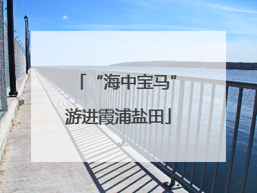 “海中宝马”游进霞浦盐田