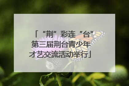 “荆”彩连“台” 第三届荆台青少年才艺交流活动举行