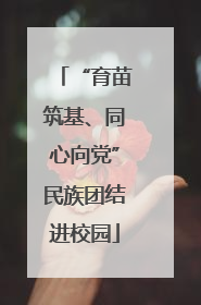 “育苗筑基、同心向党”民族团结进校园