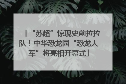 “苏超”惊现史前拉拉队！中华恐龙园“恐龙大军”将亮相开幕式