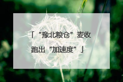 “豫北粮仓”麦收跑出“加速度”
