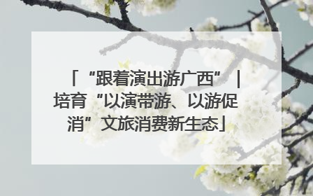 “跟着演出游广西”｜培育“以演带游、以游促消”文旅消费新生态