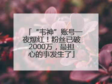 “韦神”账号一夜爆红！粉丝已破2000万，最担心的事发生了