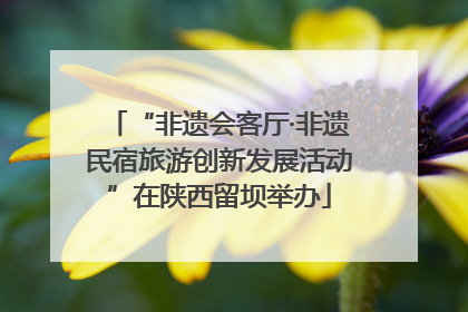 “非遗会客厅·非遗民宿旅游创新发展活动”在陕西留坝举办