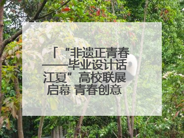 “非遗正青春——毕业设计话江夏”高校联展启幕 青春创意激活千年文脉