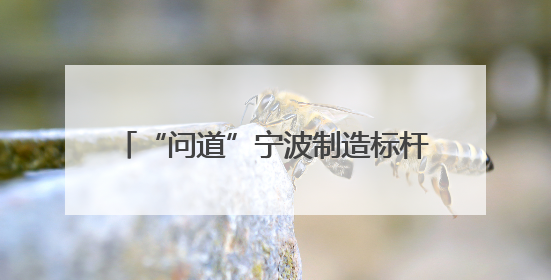 “问道”宁波制造标杆 25位临海大田企业家取回“发展真经”