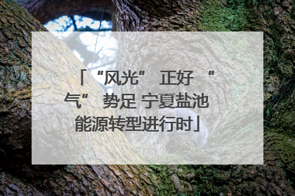 “风光” 正好 “气” 势足 宁夏盐池能源转型进行时