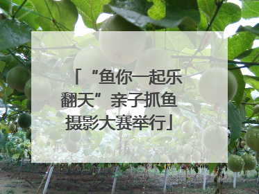 “鱼你一起乐翻天”亲子抓鱼摄影大赛举行