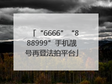 “6666”“888999”手机靓号再登法拍平台
