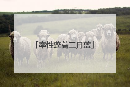 率性蓬蒿二月蓝