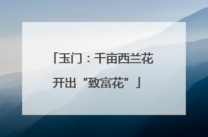 玉门：千亩西兰花开出“致富花”