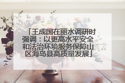 王成国在丽水调研时强调：以更高水平安全和法治环境服务保障山区海岛县高质量发展