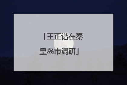 王正谱在秦皇岛市调研
